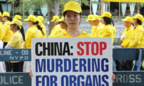 Experts Call on UN to Investigate China’s Killing of Religious Dissidents for Their Organs