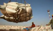 China’s August Soy Imports From US Surge as Cargos Clear Customs
