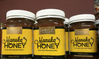 5 Amazing Healing Honey Facts