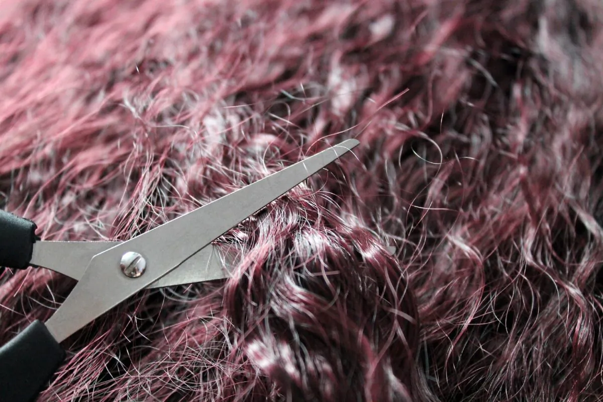 A posed stock image shows hair and scissors. (Pixabay)