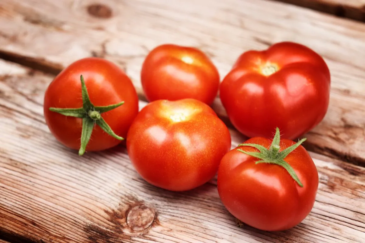 Tomatoes in a stock image. (Karen Stahlros/Unsplash)