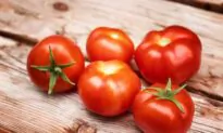 Florida Teen Attacks Family Over Tomatoes After Grandmother Claims She Ate ‘More Than Her Fair Share’