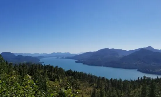 Federal Judge Blocks Logging in Alaska’s Tongass National Forest