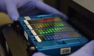 China Collecting DNA From Males Across Country, Prompting Eugenics and Privacy Concerns