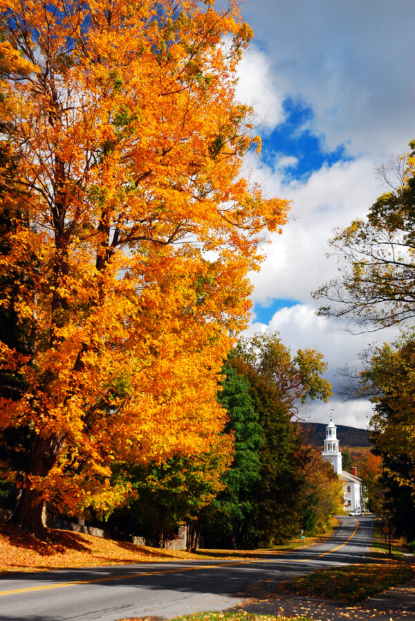 An autumn road in Vermont