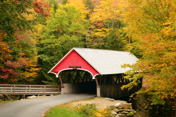 Covered Bridge Surrounded by Fall Foliage