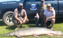 Angler Catches 170-pound Prehistoric Fish With Alligator-looking Snout From Oklahoma Lake