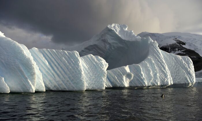 An iceberg is pictured in the western Antarctic peninsula, on March 04, 2016.  Like seals and whales, penguins eat krill, an inch-long shrimp-like crustacean that forms the basis of the Southern Ocean food chain. But penguin-watchers say the krill are getting scarcer in the western Antarctic peninsula, under threat from climate change and fishing.  / AFP / EITAN ABRAMOVICH        (Photo credit should read EITAN ABRAMOVICH/AFP/Getty Images)