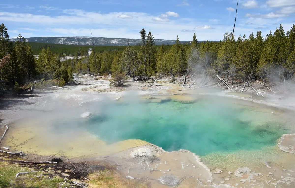 A view of a hot spring at the Norris Geyser Basin at Yellowstone National Park on May 12, 2016. (Mladen Antonov/AFP/Getty Images)