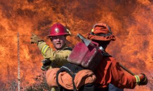 It’s Boom Times for These Daring Firefighter-Scientists