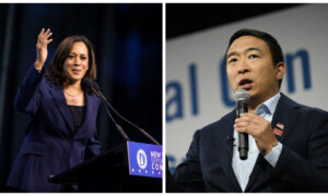Kamala Harris Gets $11 Million in Third Quarter, Andrew Yang Raises $10 Million