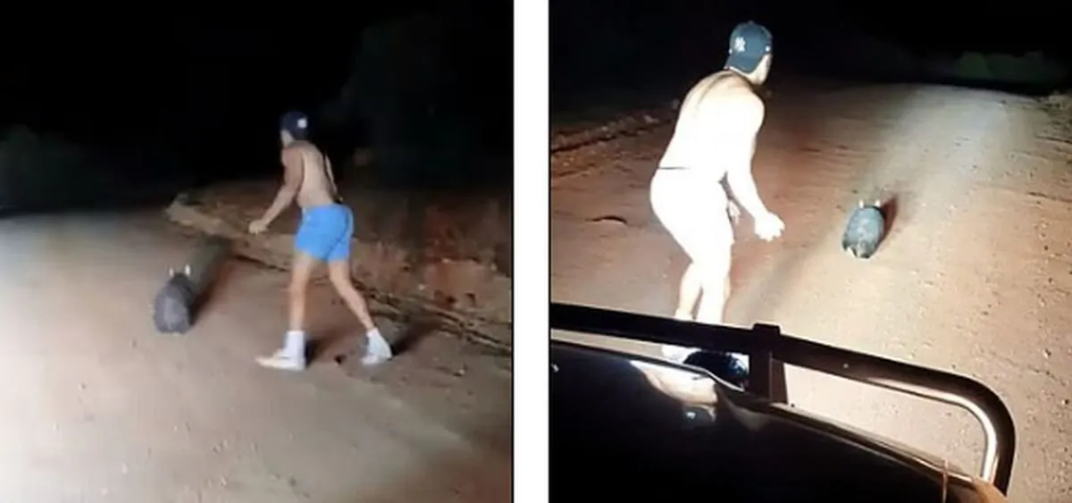 The video was taken on South Australia's Eyre Peninsula, showing the off-duty officer repeatedly throwing rocks at the wombat. (Wombat Awareness Organisation / Facebook)


