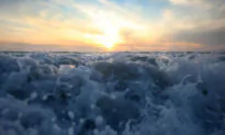 Ocean-Based Heat Wave Signals Warmer California Fall