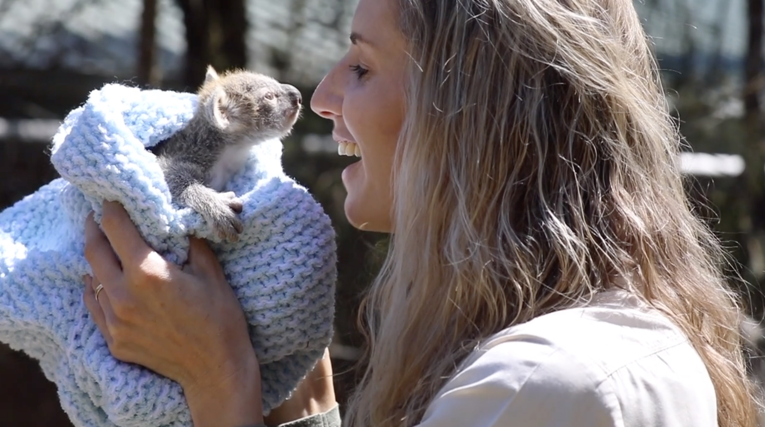 koala joey elsa australian reptile park 3