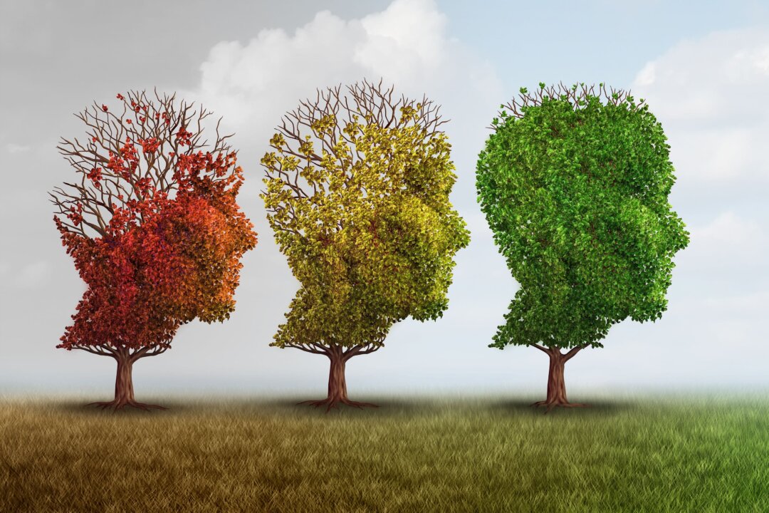 Dementia is a complex disease with complex causes that requires a multifaceted and highly personalized treatment.(Lightspring/Shutterstock)