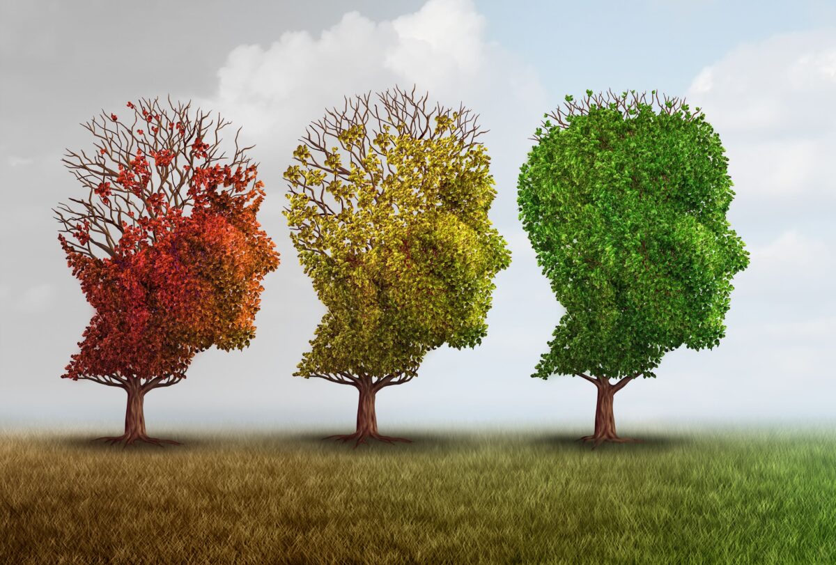 Dementia is a complex disease with complex causes that requires a multifaceted and highly personalized treatment.(Lightspring/Shutterstock)