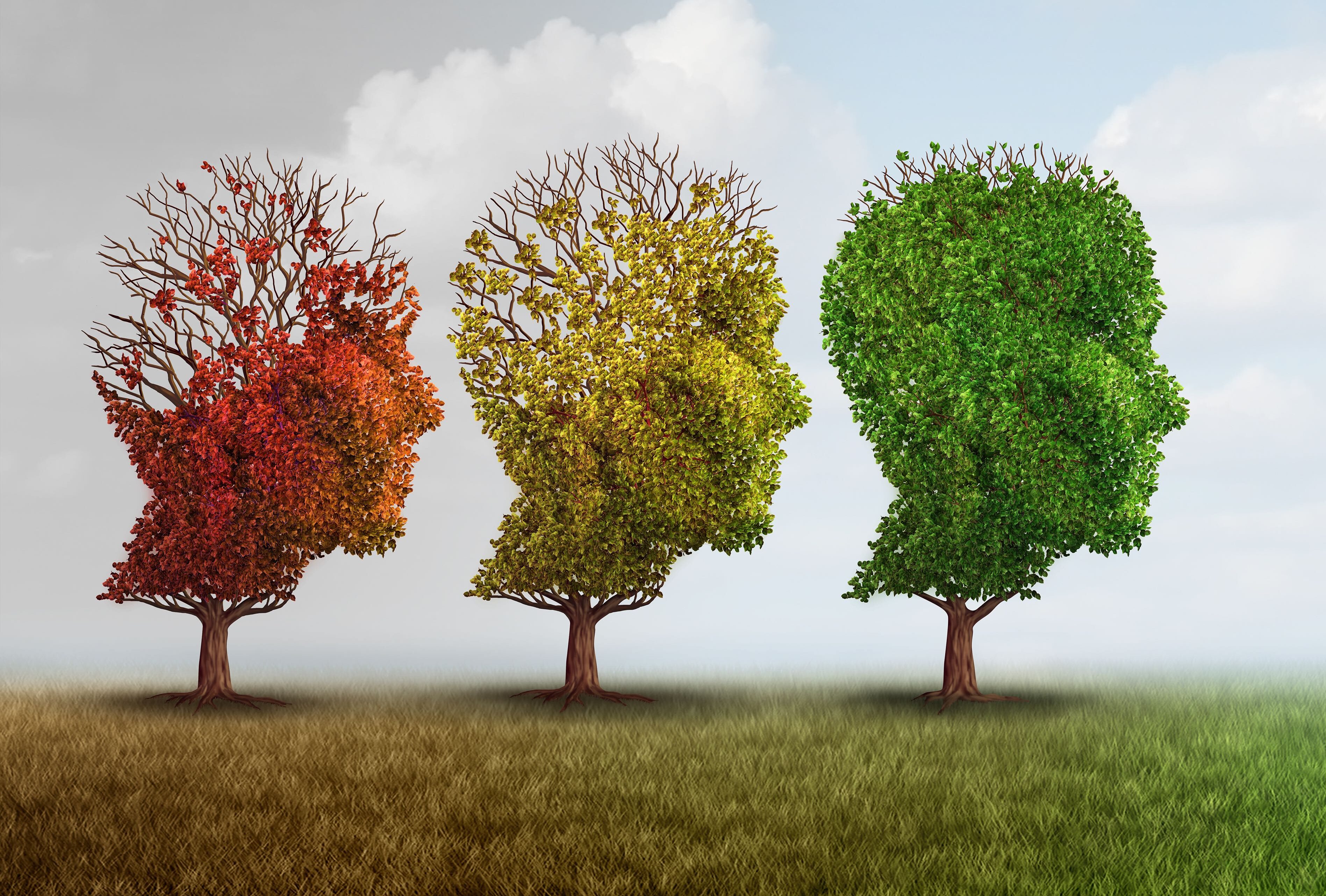 Here's How Prediabetes May Harm Your Brain - Vimarsana News