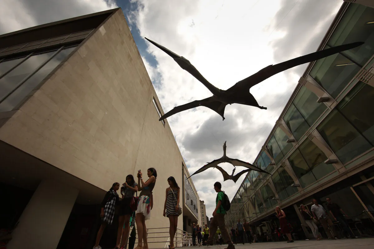 Models of giant predatory reptiles know as pterosaurs hang outside the Royal Festival Hall in London, England, on June 21, 2010. (Peter Macdiarmid/Getty Images)