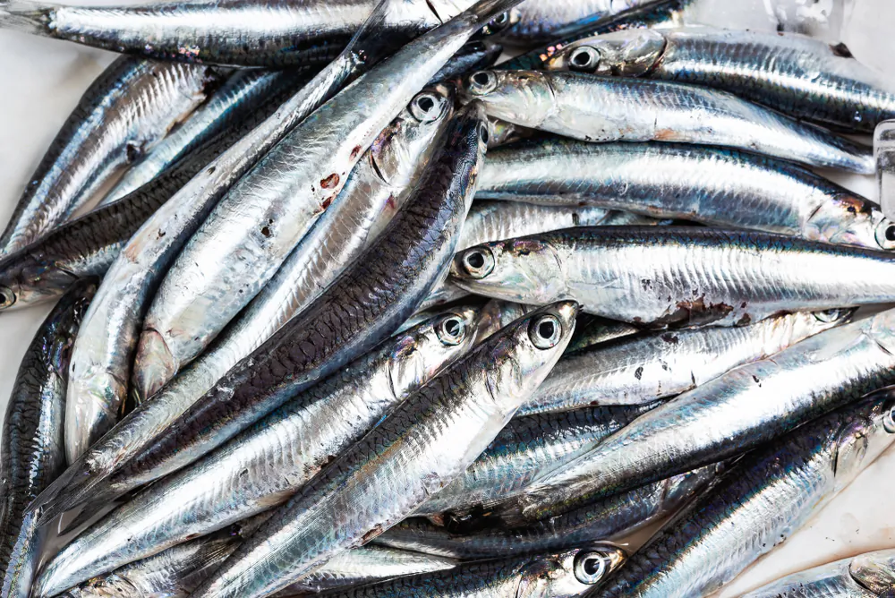 Each tiny fish packs a whole lot of flavor. (Shutterstock)