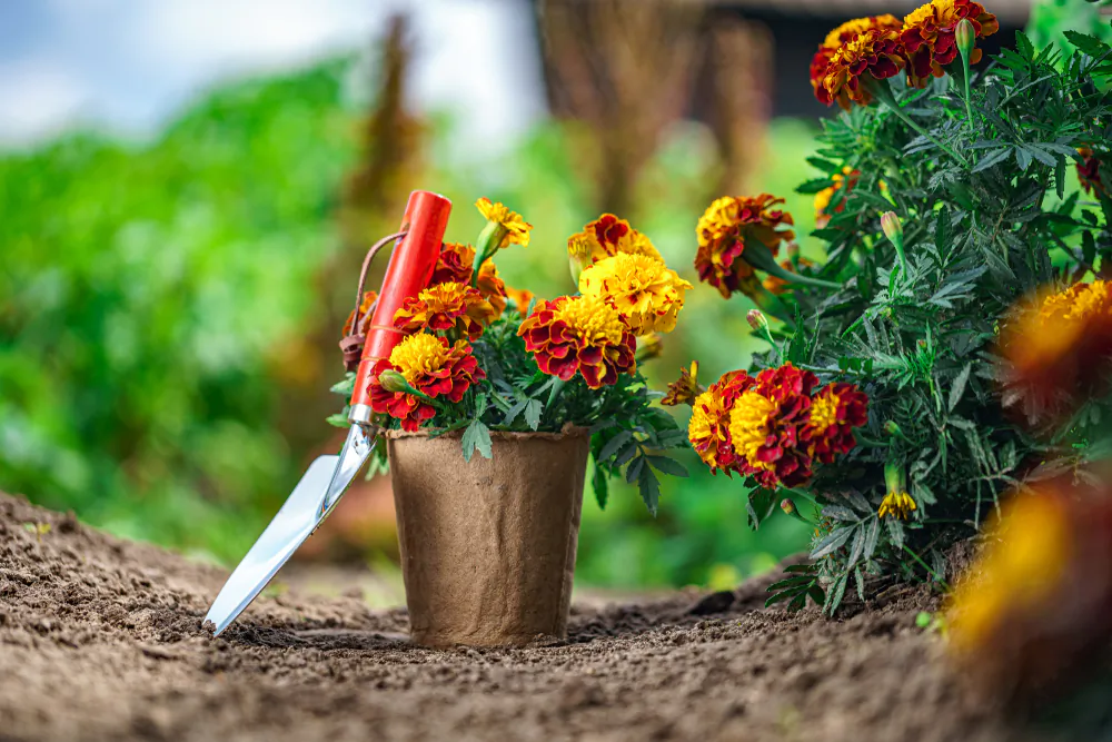 Do not mistake a simple hobby for a passion—unless you can turn that hobby you’re truly passionate about into a career.  (Shutterstock)