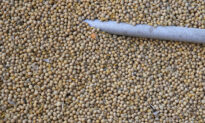 China Buys More US Soybeans, Record Volume of Pork Ahead of Trade Talks