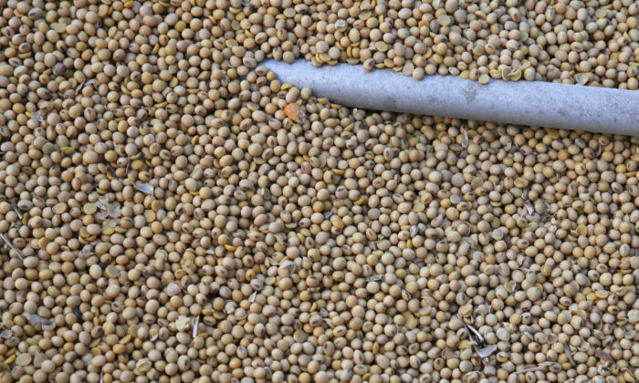 Soybeans sit in a truck as they are loaded at the Ruff Brothers Grain elevator in Leonore, Illinois, U.S. on July 6, 2018. (Daniel Acker/Reuters)