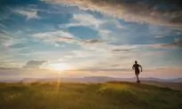 Routines Are Meant to Be Broken