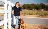 A Woman and Her Bloodhounds Are on the Trail
