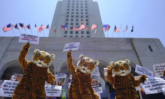 California to Become the First State to Ban the Sale and Manufacture of Fur
