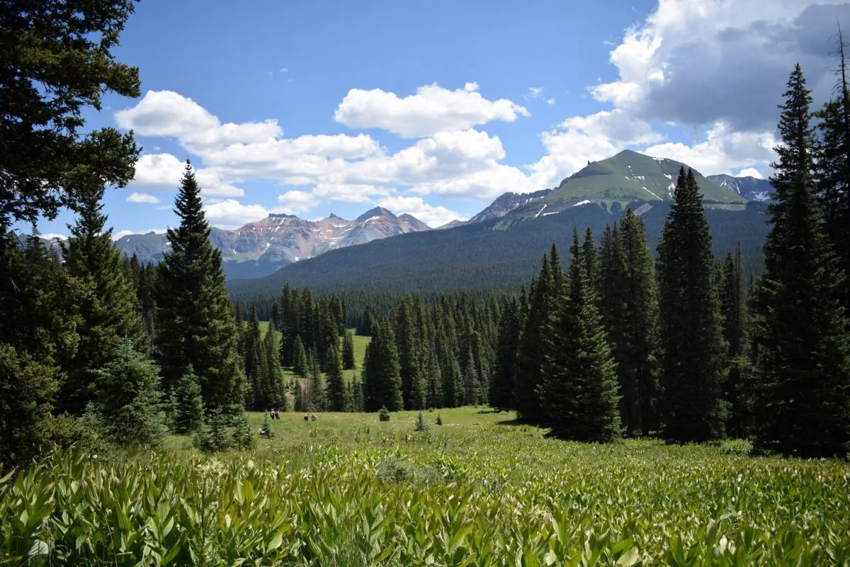 The view while I pause a moment to catch my breath. (Channaly Philipp/The Epoch Times)