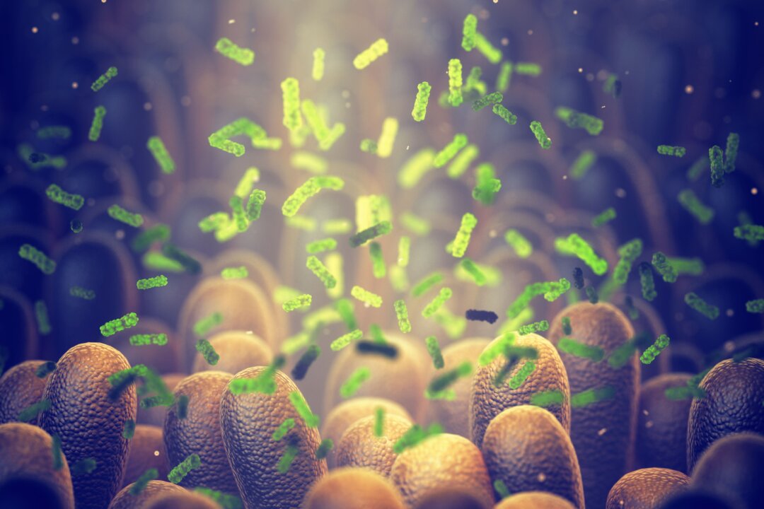 Researchers from Oregon State University have identified a bacteria behind type 2 diabetes (nobeastsofierce/Shutterstock)