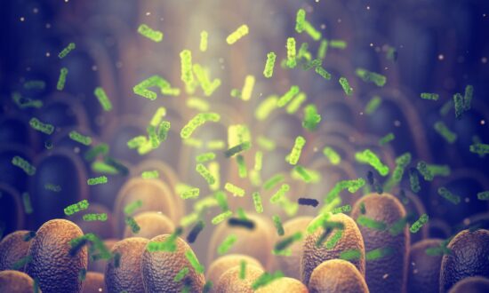Gut Bacteria Could Help Protect Against COVID