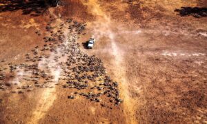 Regional Australia to Benefit From Future Drought Fund