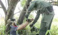 Justice Department Prosecutes Most Immigration-Related Crimes in 25 Years
