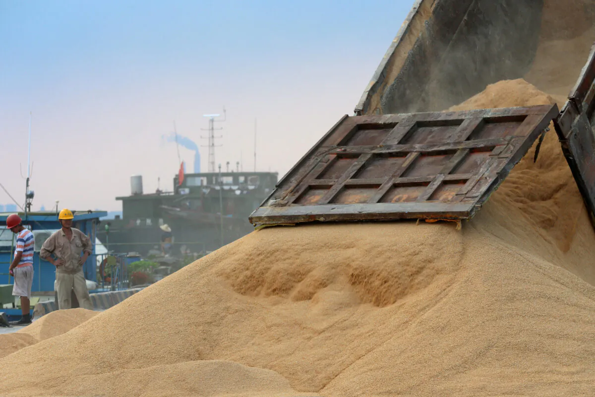 A worker looks on as imported soybeans are transported at a port in Nantong, Jiangsu Province, China on Aug. 6, 2018. (Reuters)