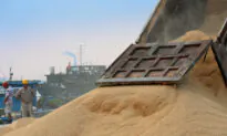 China Buys 264,000 Tonnes of US Soybeans: USDA