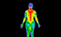 Getting a Breast Thermography Scan After Cancer
