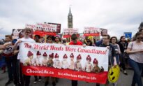 ‘It Must End’: Time to Turn the Tide on Abortion, Says Pro-Life Advocate