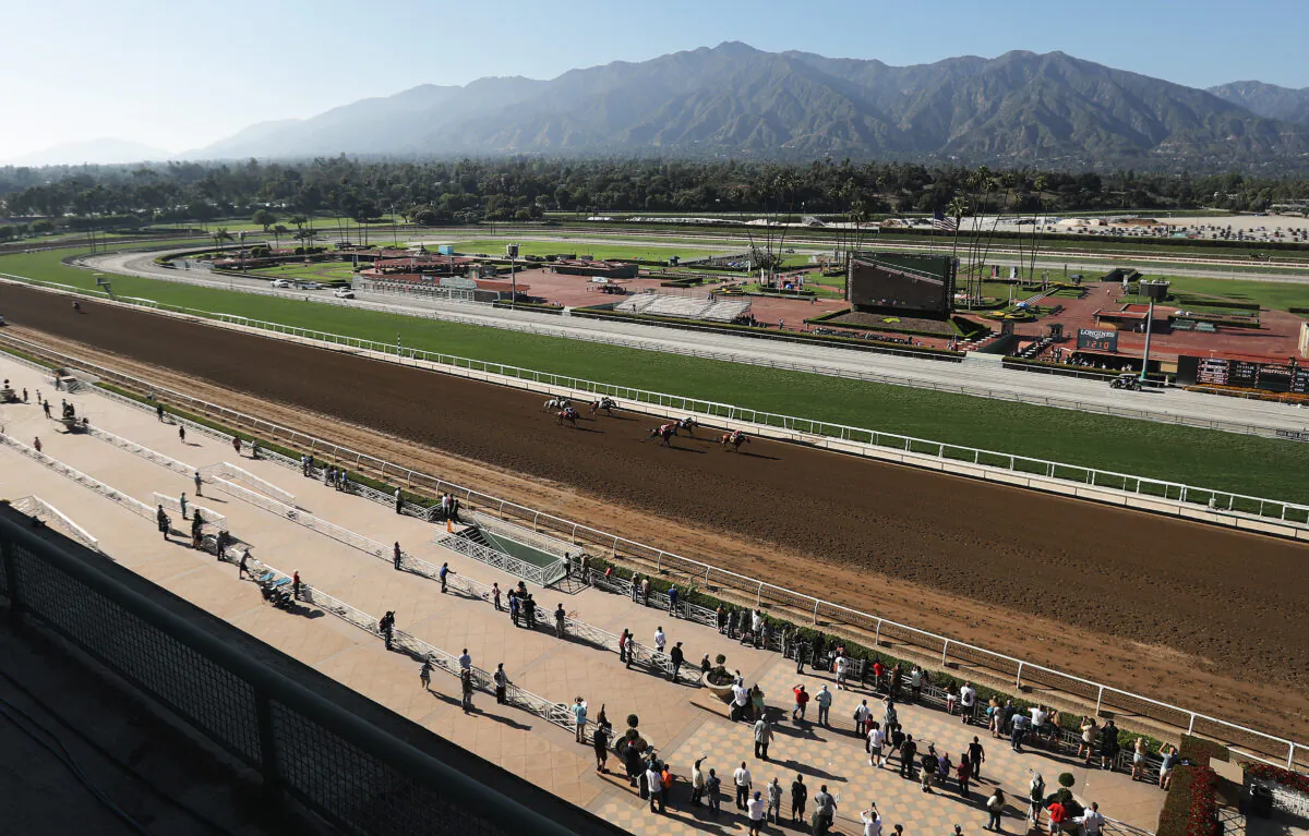 Race horses head for the finish line at Santa Anita Park in Arcadia, Calif., on June 23, 2019. (Mario Tama/Getty Images)