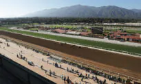 Horse Dies at Santa Anita Park on Kentucky Derby Day