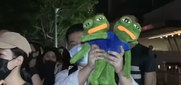 How Pepe the Frog Became a Hong Kong Protester | The Epoch Times