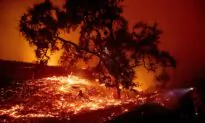 PG&E Insurance Deal Slammed by Governor, Wildfire Victims