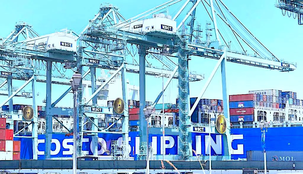 Shipping containers are seen on a Cosco Shipping vessel at the Port of Long Beach in Long Beach, Calif., on Aug. 23, 2019. (Frederic J. Brown/AFP/Getty Images)