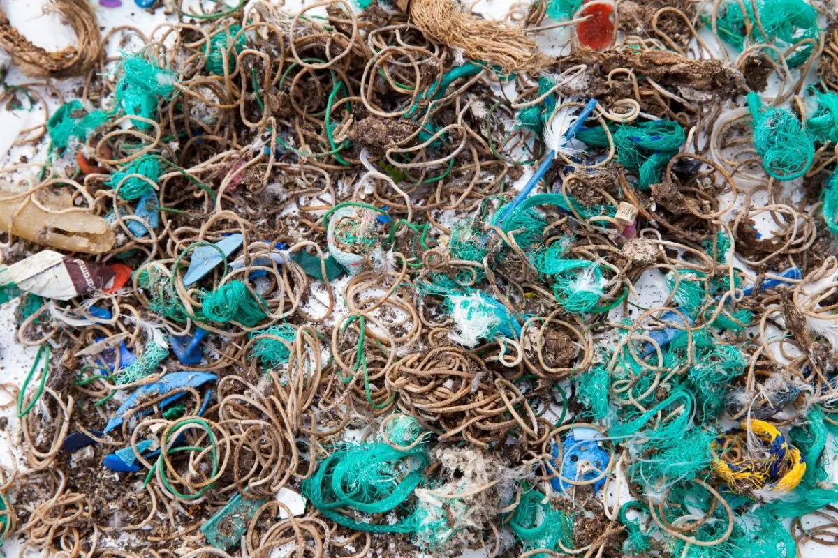 Elastic bands and fishing waste collected
from Mullion Island, on Oct. 23, 2019.
(Seth Jackson/National Trust)