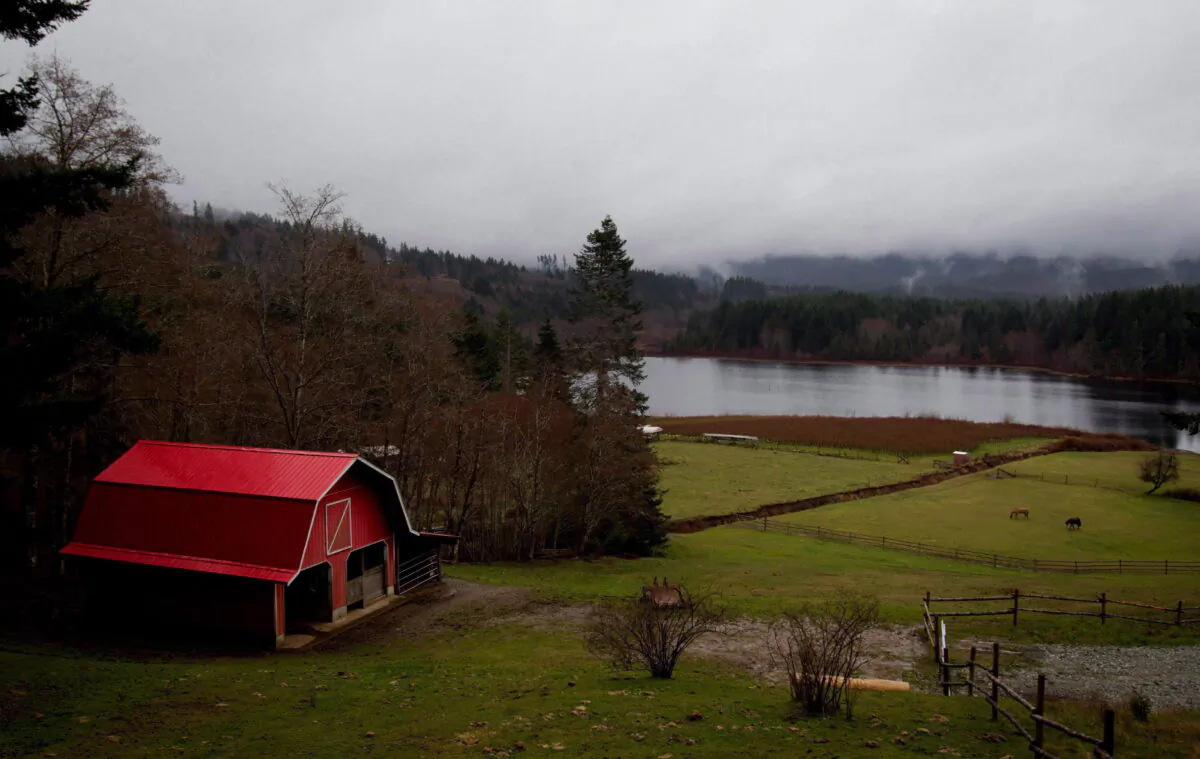 Horses graze at a farm on Alberni Inlet near Port Alberni, B.C., in a file photo. (THE CANADIAN PRESS/Darryl Dyck)