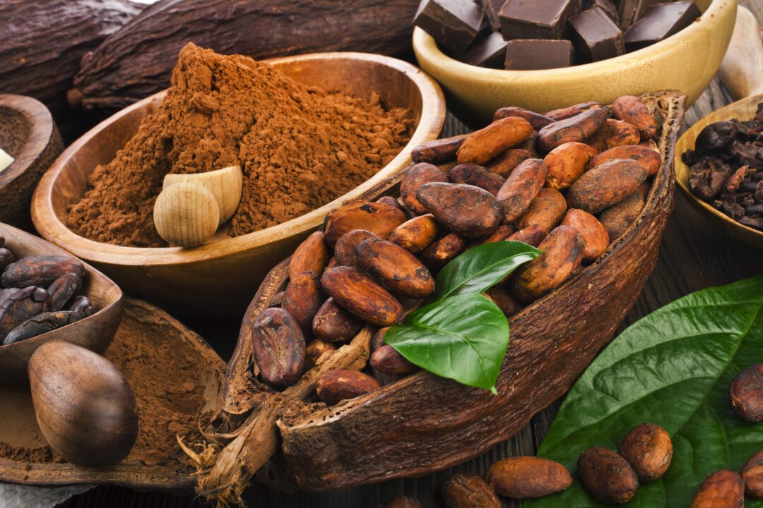 Cacao is made from pressing the raw seeds of the Theobroma Cacao tree, retaining more flavanols and their medicinal effect. (Snowbelle/Shutterstock)