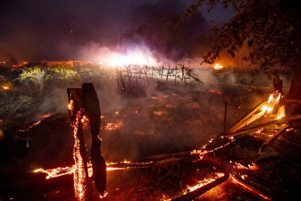 A fence burns in front of a vineyard