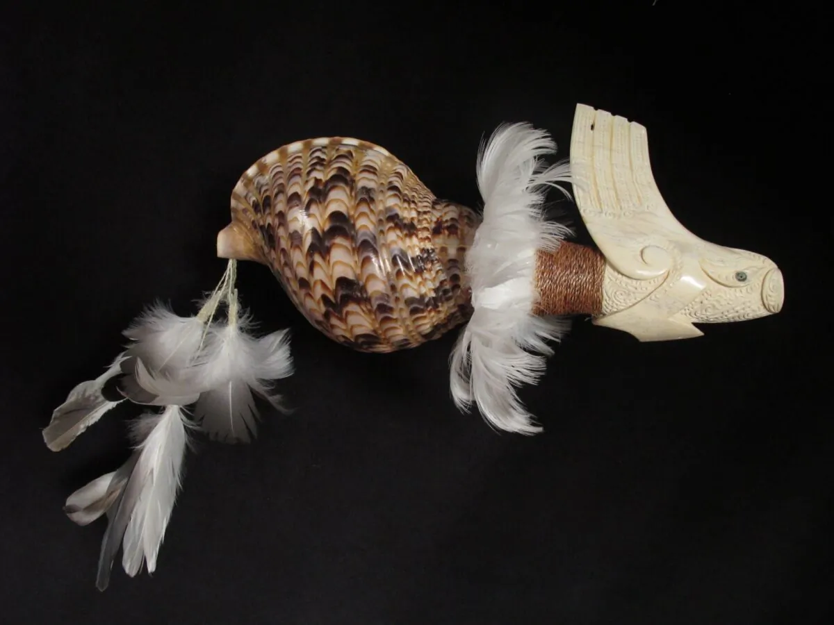 "Pumoana Karoro" by Brian Flintoff, master carver. Shell trumpets are commonly called putatara. In the past, putatara were made from a specific kind of shell. When Brian Flintoff uses other shells, he calls his shell trumpets pumoana. (Courtesy of Brian Flintoff)