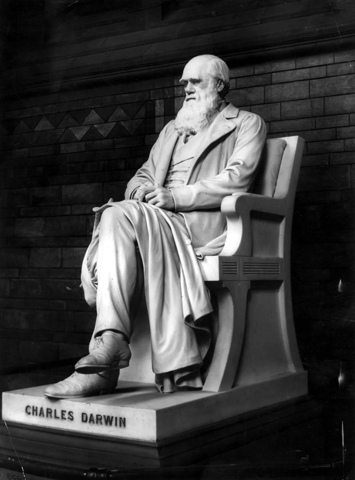 9th June 1885:  A marble statue of English naturalist Charles Darwin by Sir J E Boehm at its unveiling at the Natural Histroy Museum, London.  (Photo by Rischgitz/Getty Images)