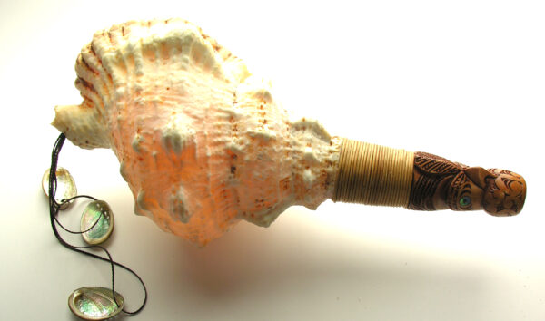 Conch Shell Trumpet